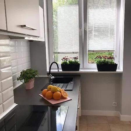 Apartament Klimatyczny Pod Ratuszem -ul. śląska 2 *