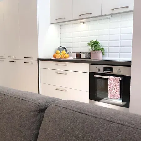 Klimatyczny Pod Ratuszem -ul. śląska 2 Apartament *