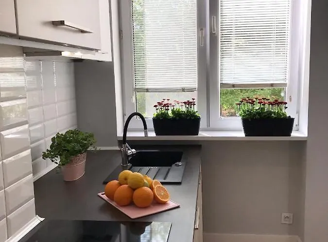 Daire Klimatyczny Pod Ratuszem -ul. Slaska 2 *